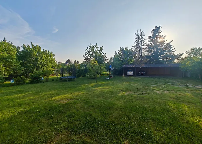 Lira ヘーヴィーズ